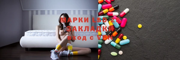 дмт Алзамай
